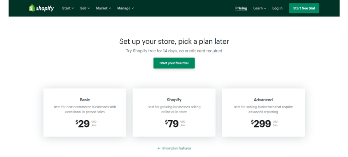 shopify pricing